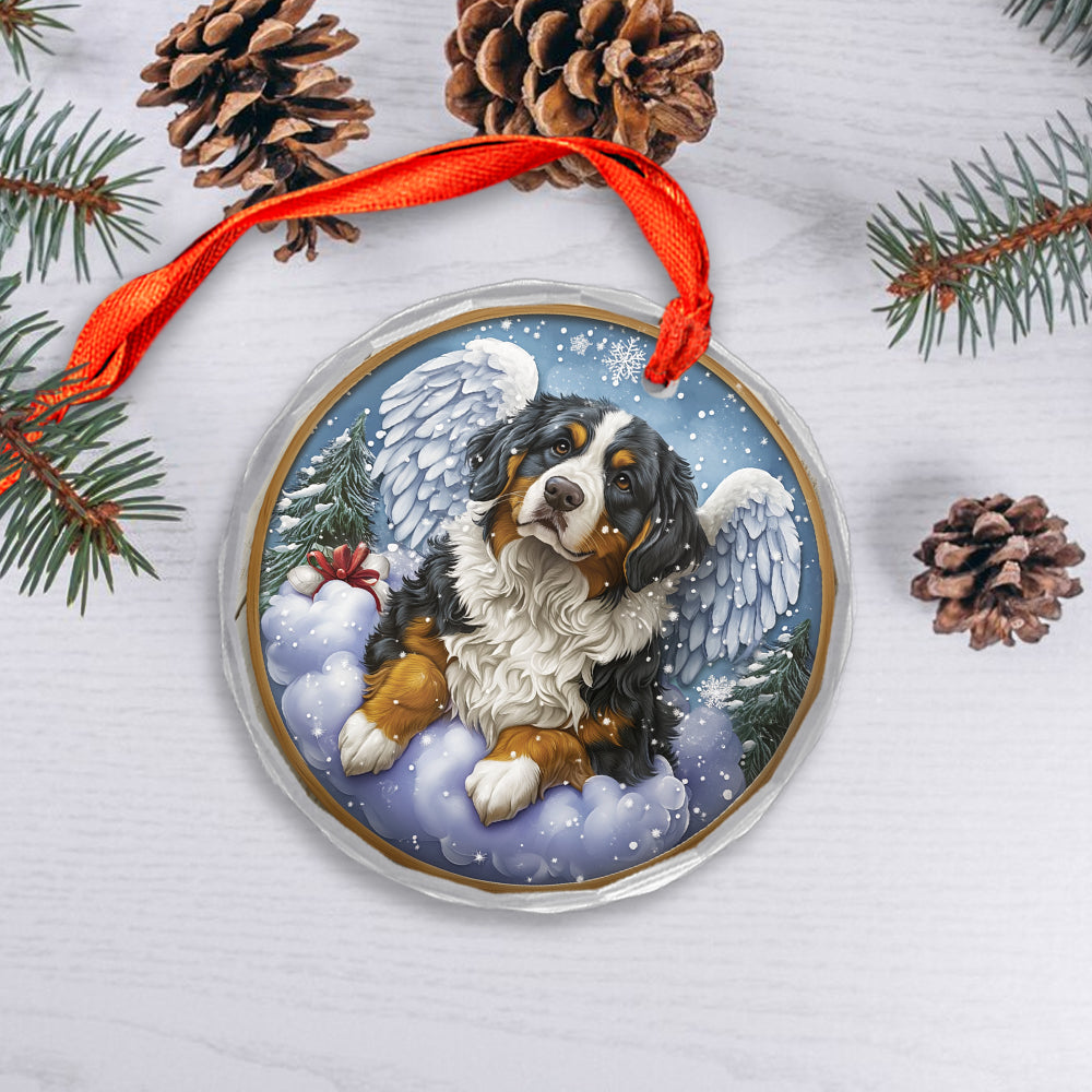 Angel Bernese Mountain Dog 4