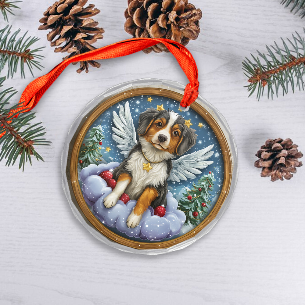 Angel Australian Shepherd Dog 3