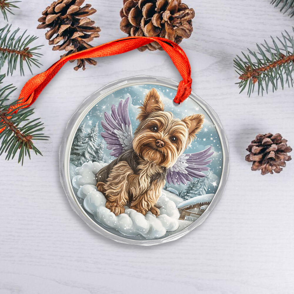 Angel Yorkshire Terrier Dog 2
