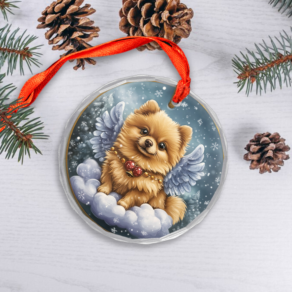 Angel Pomeranian Dog 4