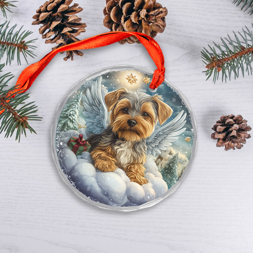 Angel Yorkshire Terrier Dog 1