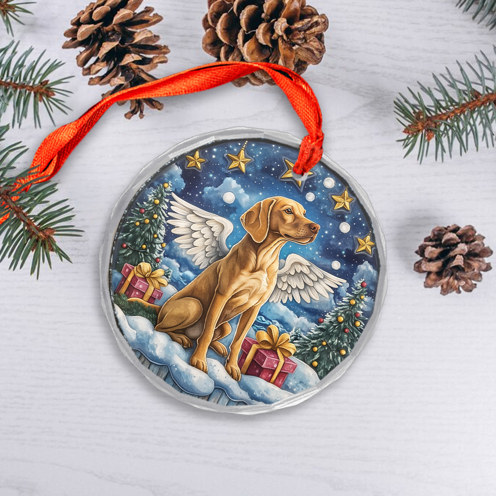 Angel Vizsla Dog 3