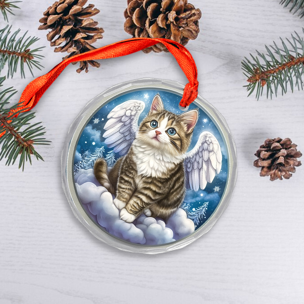 Angel American Shorthair Cat 1