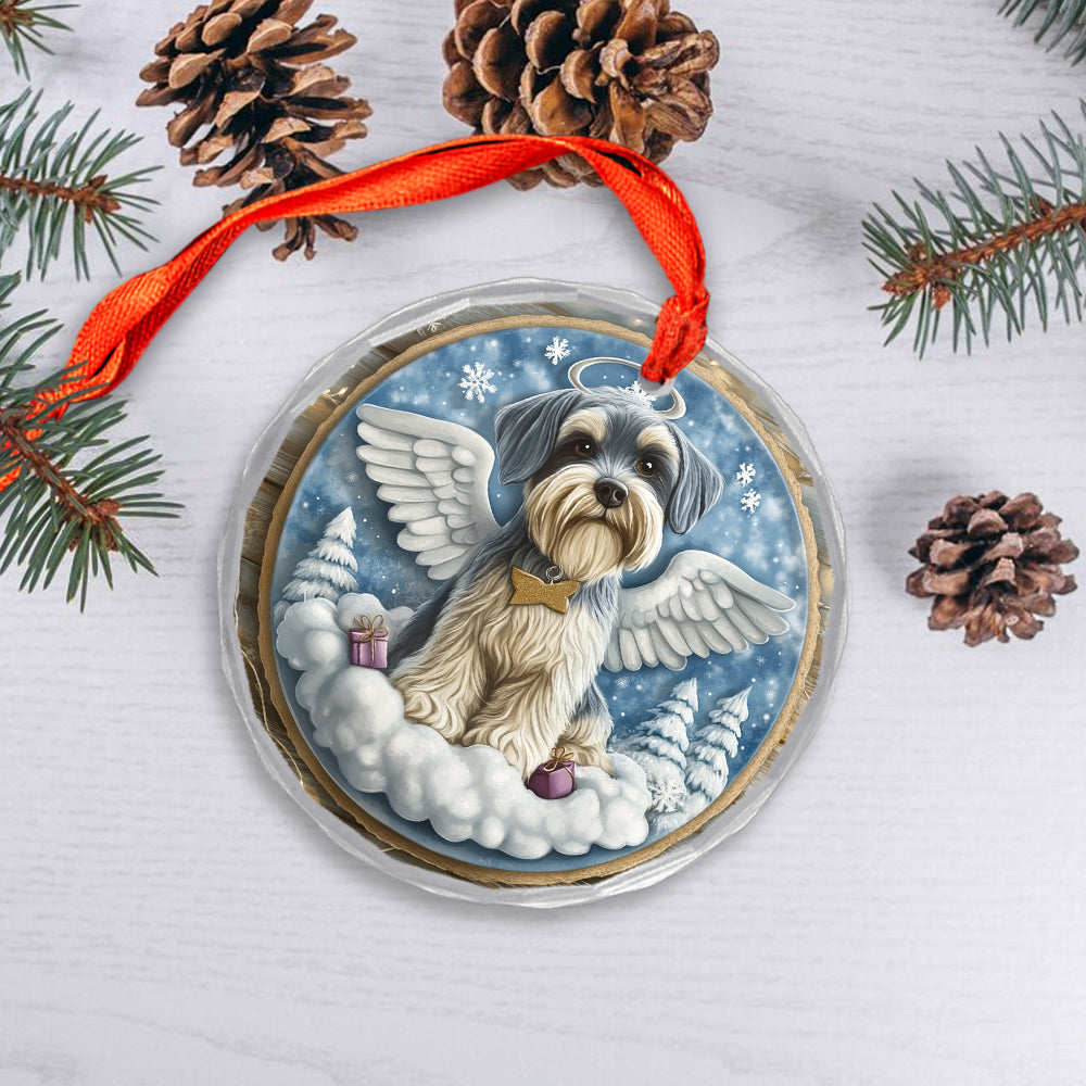 Angel Miniature Schnauzer Dog 2