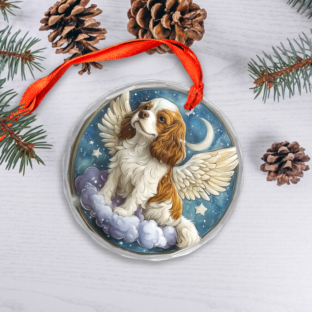 Angel Cavalier King Charles Spaniel Dog 4
