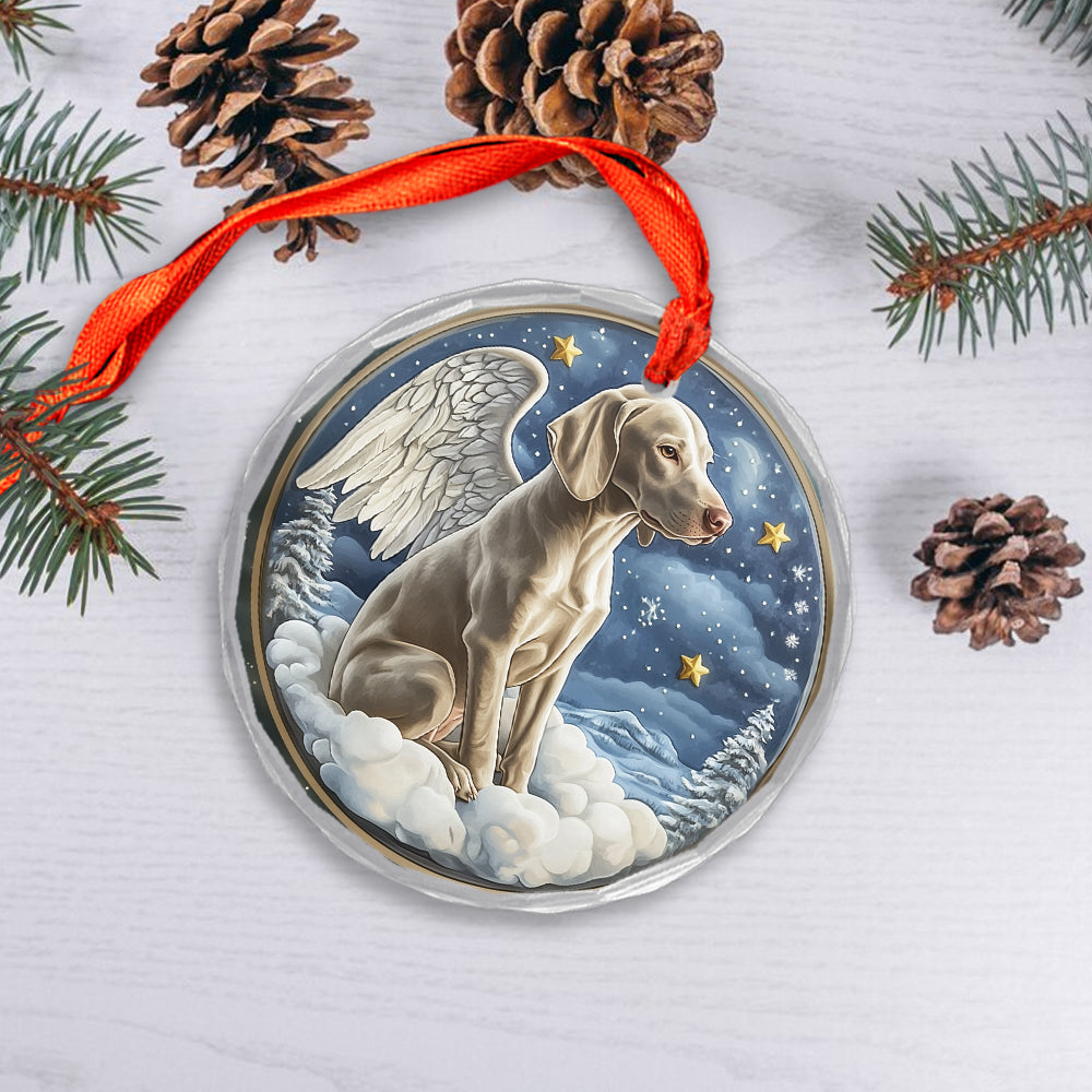 Angel Weimaraner Dog 2