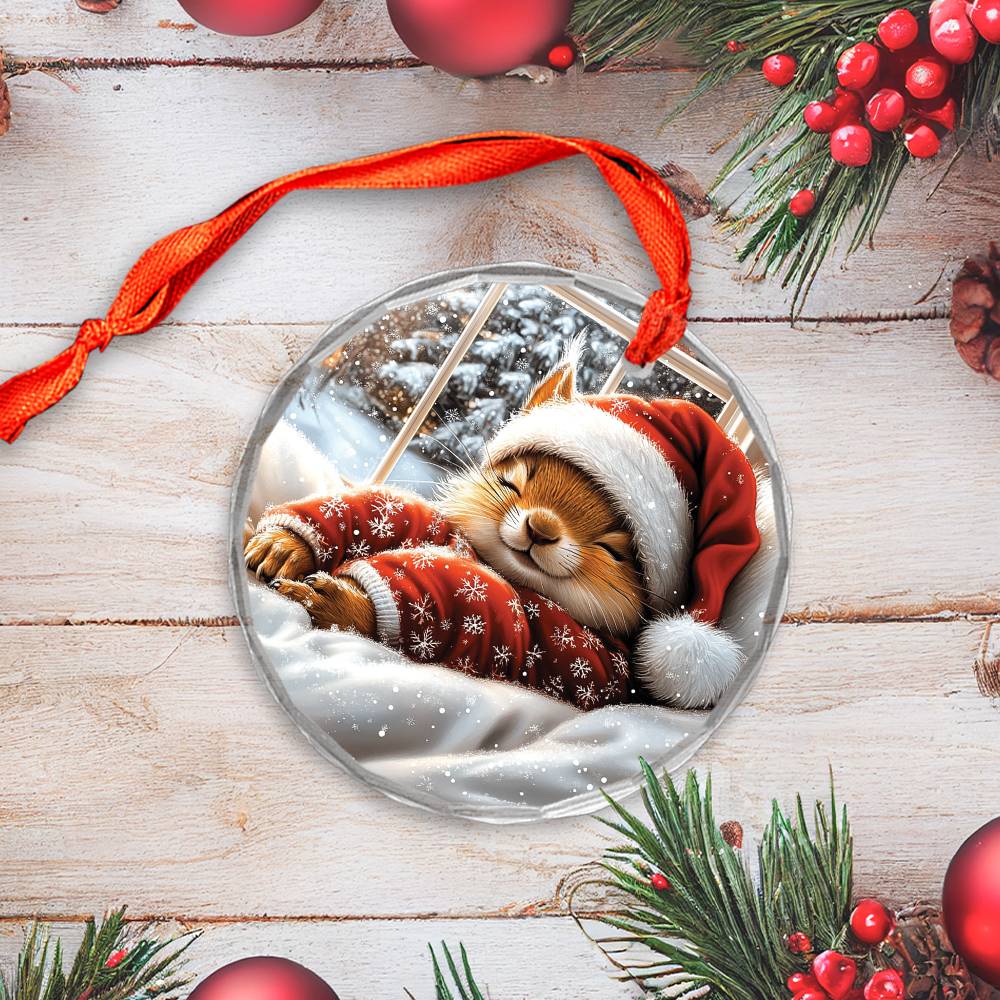 Squirrel Sleeping In Bed Design 3