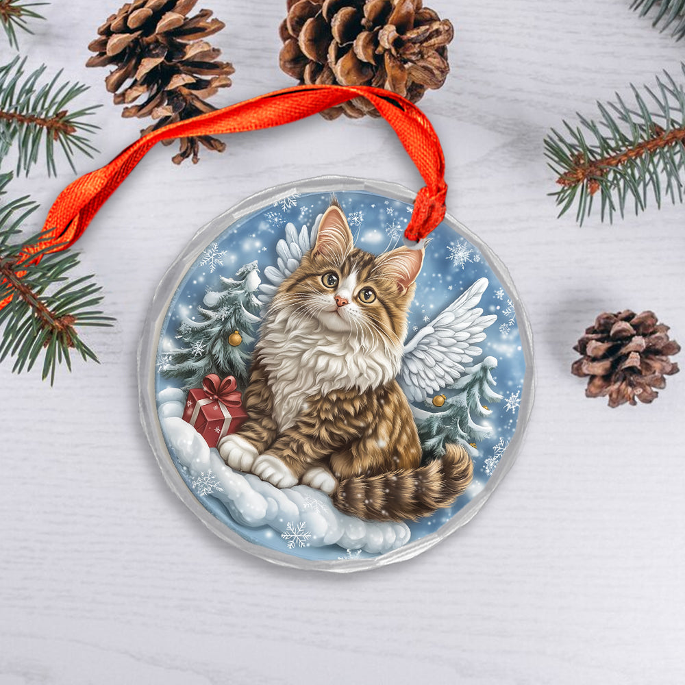 Angel Norwegian Forest Cat 2