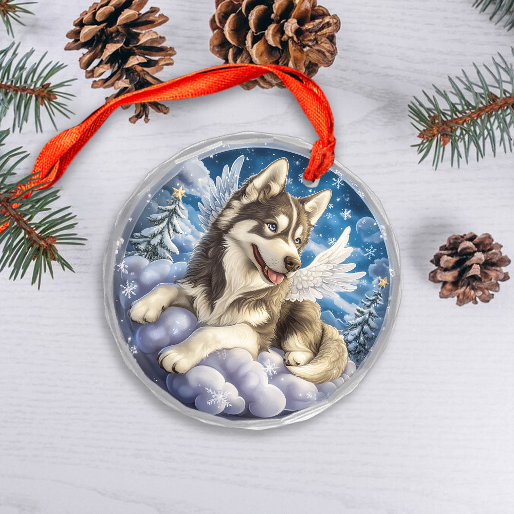 Angel Siberian Husky Dog 1