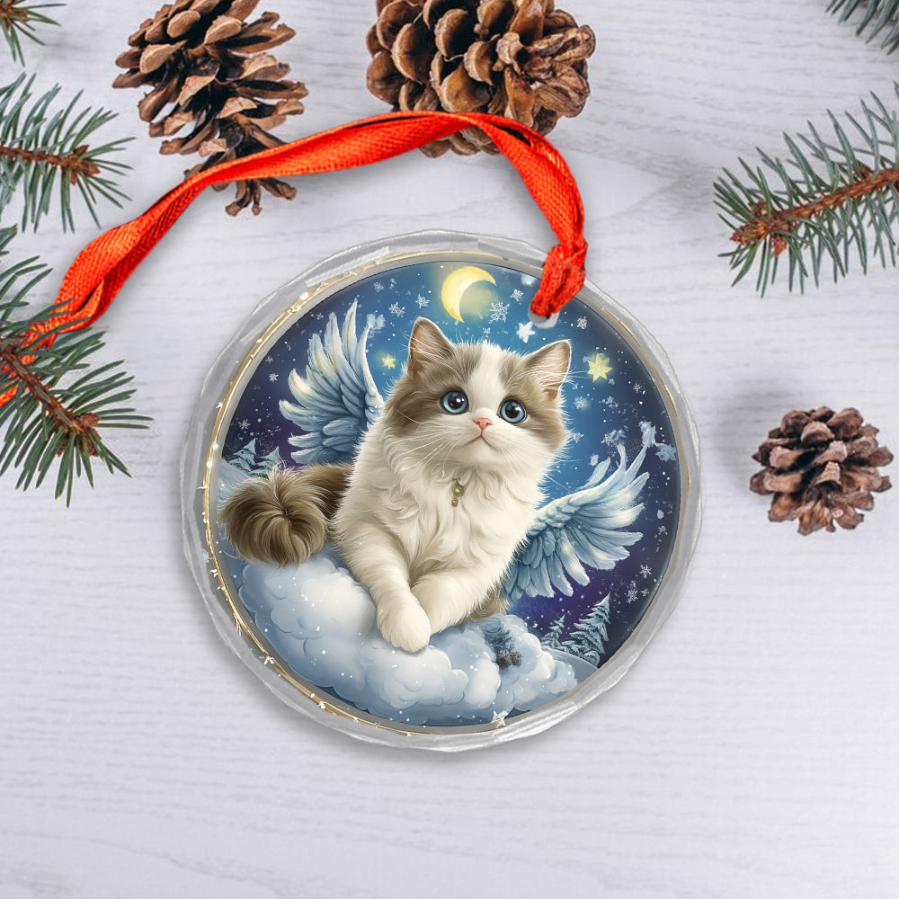 Angel Ragdoll Cat 1