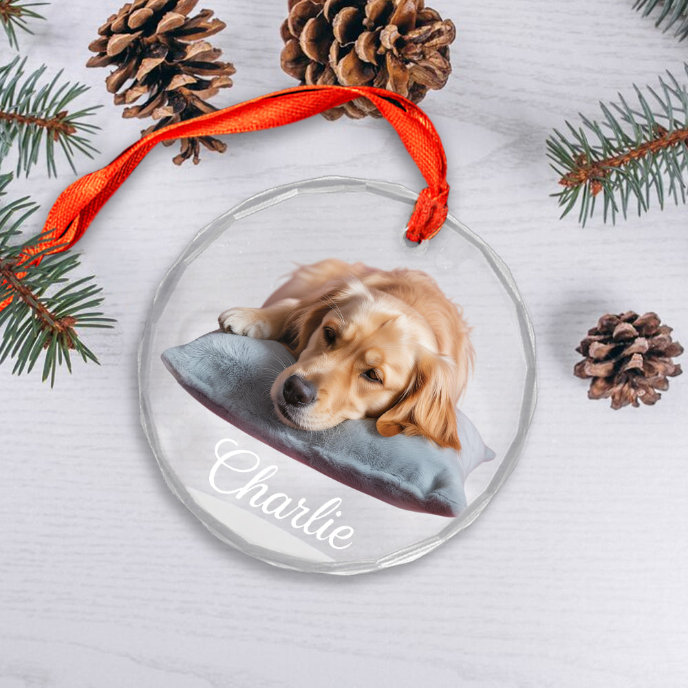 Custom Pet Name