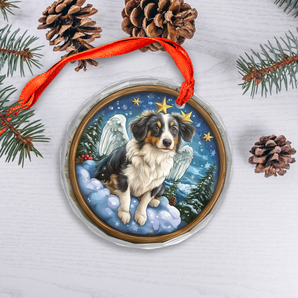 Angel Australian Shepherd Dog 2