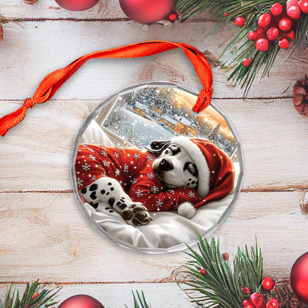Dalmatian Dog Sleeping In Bed Design 2
