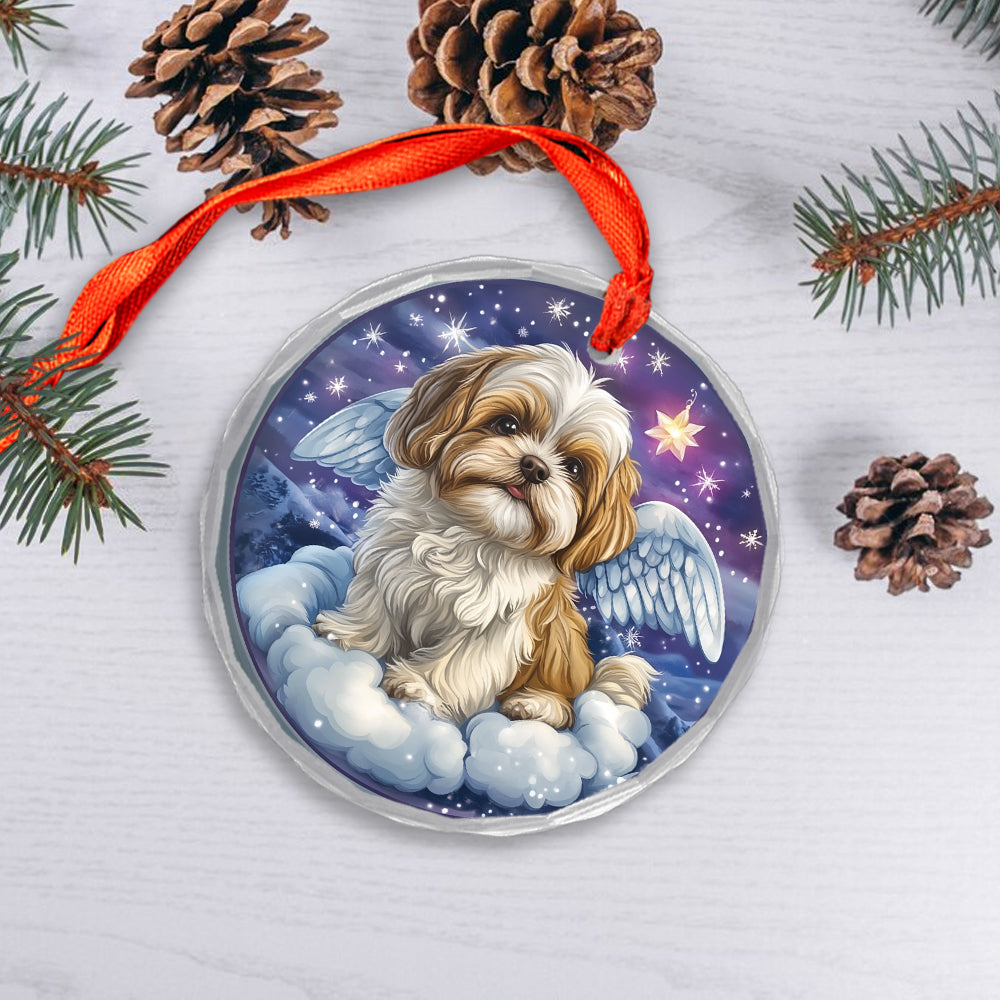 Angel Shih Tzu Dog 4