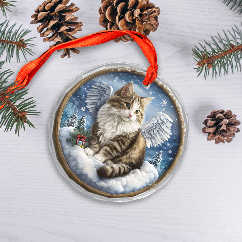 Angel Siberian Cat 2