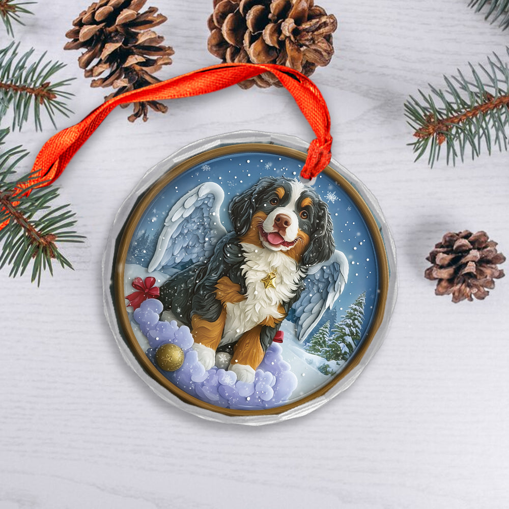 Angel Bernese Mountain Dog 1