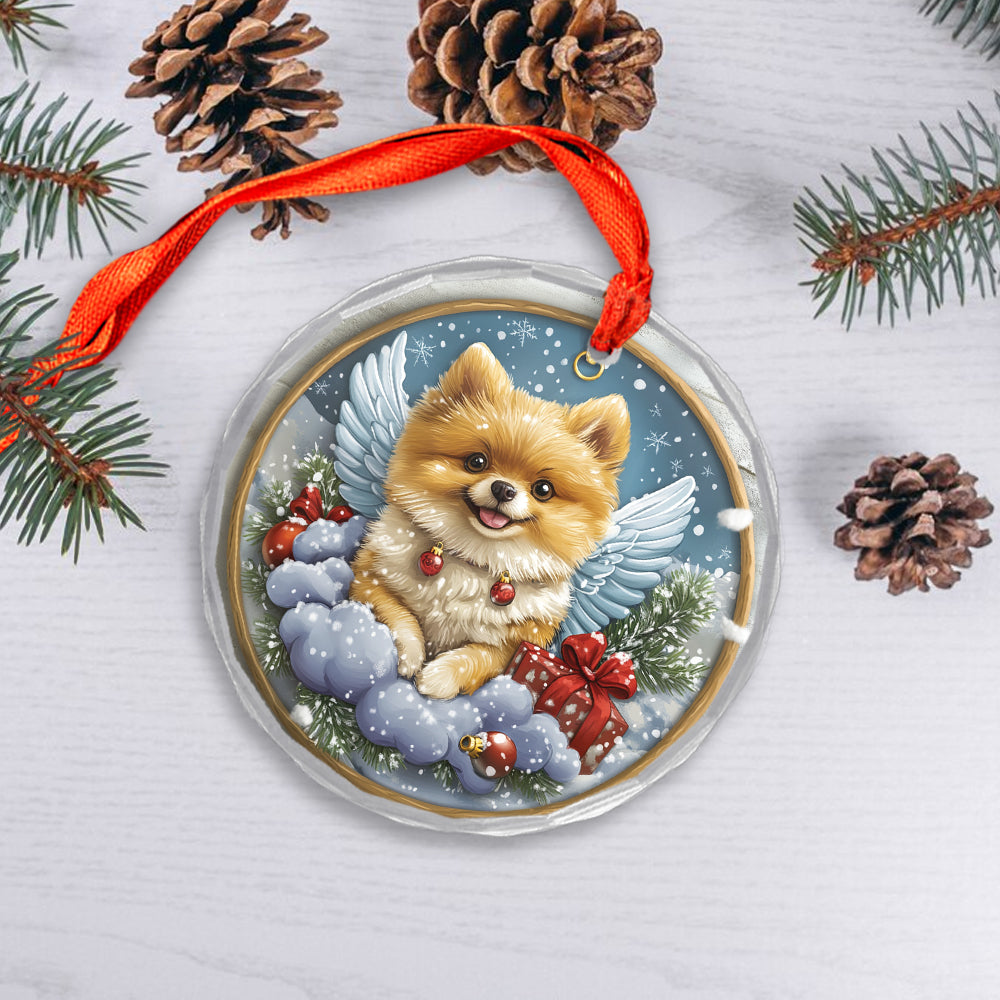 Angel Pomeranian Dog 2