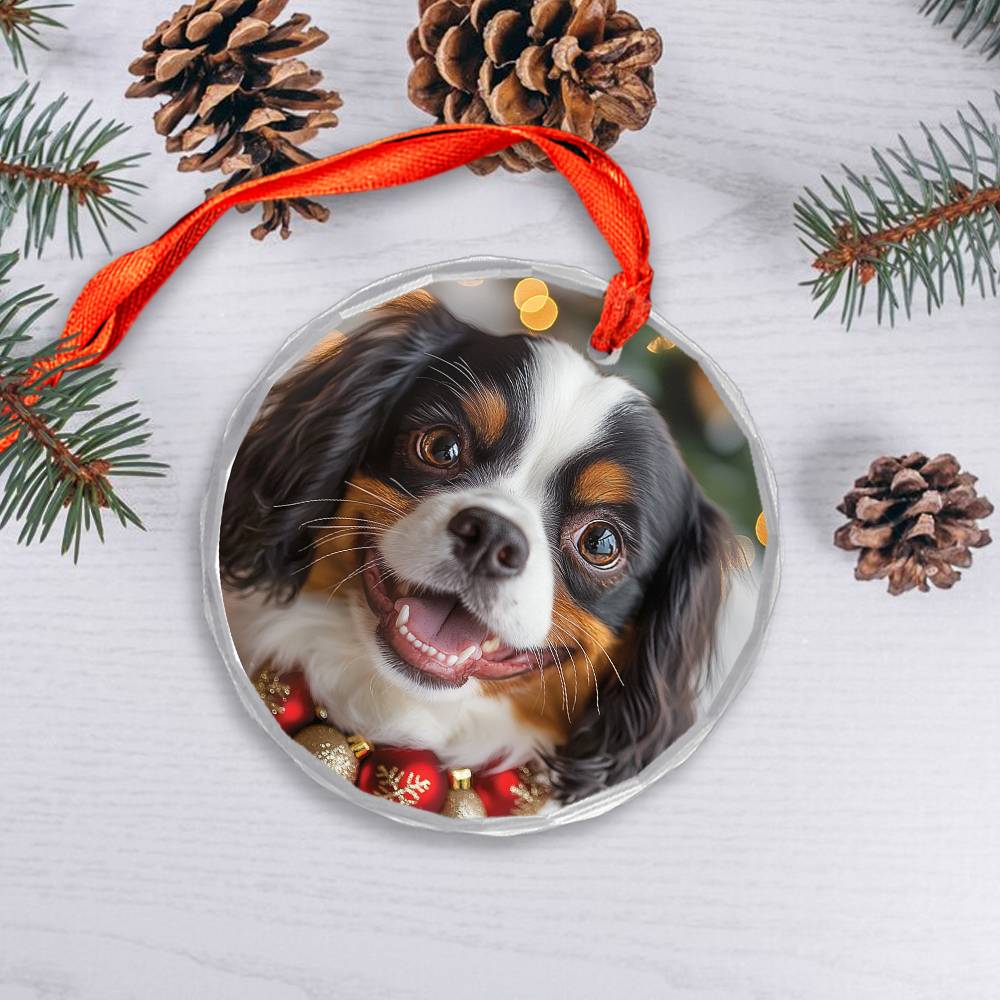 Beautiful Angus Cavalier King Charles Spaniel Dog Christmas Night Design 3 Glass Ornament
