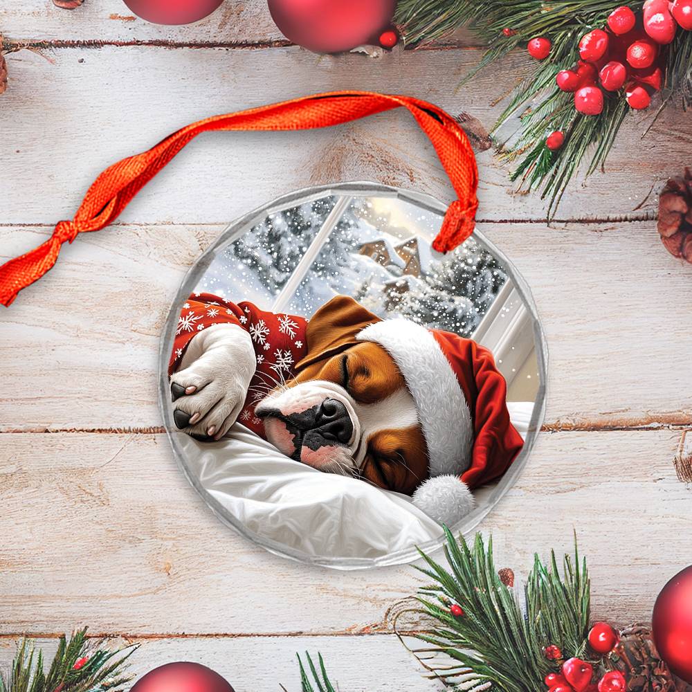 Boxer Dog Sleeping In Bed Design 2