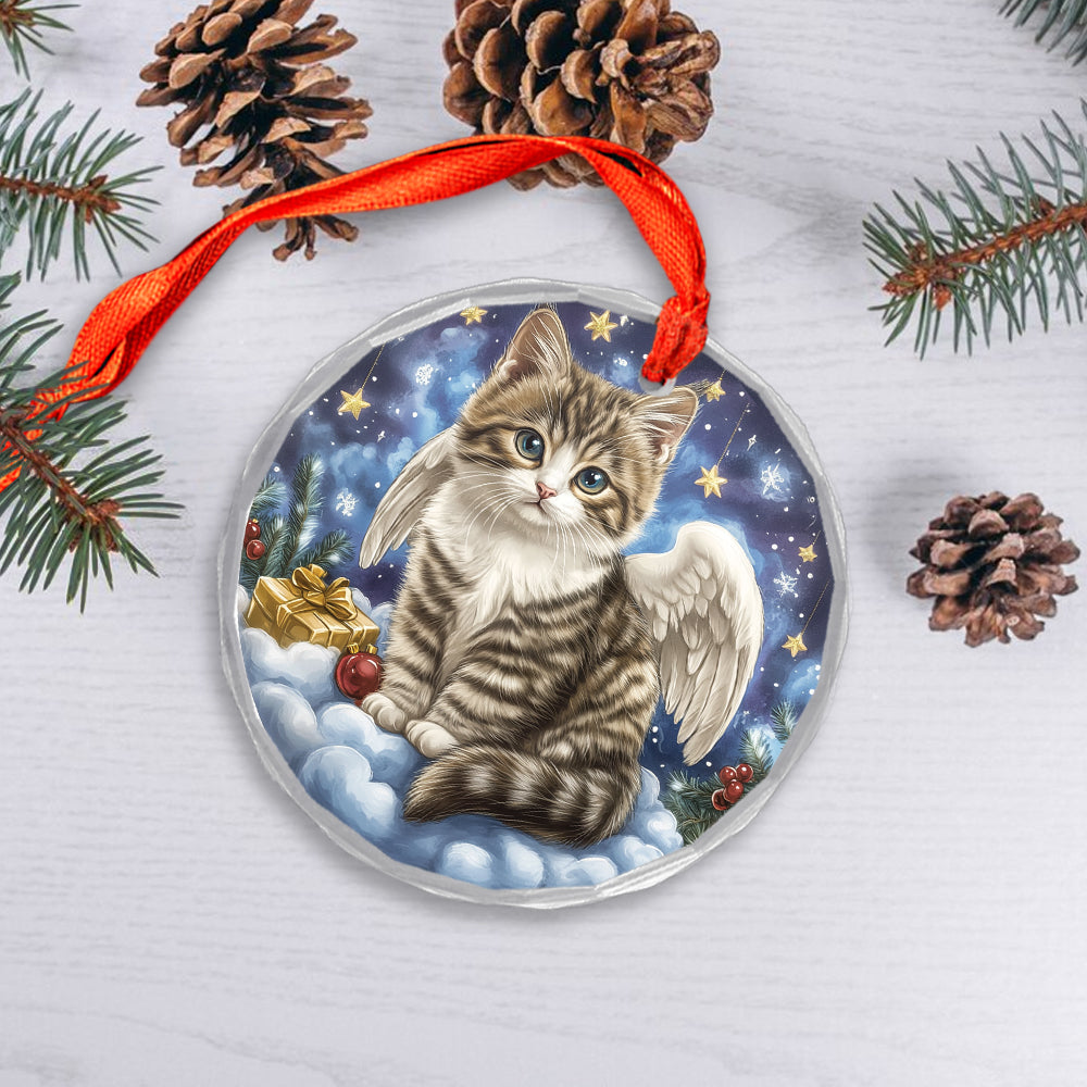 Angel American Shorthair Cat 2