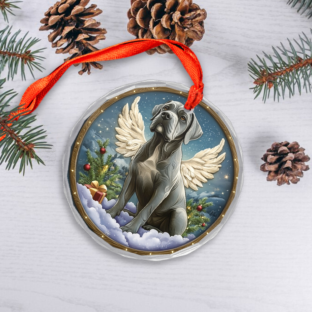 Angel Mastiff Dog 4