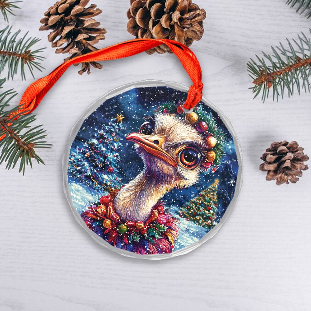 Beautiful Ostrich Christmas Night Design 4 Glass Ornament