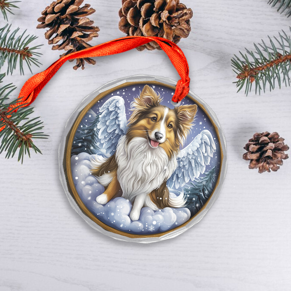 Angel Shetland Sheepdog 3