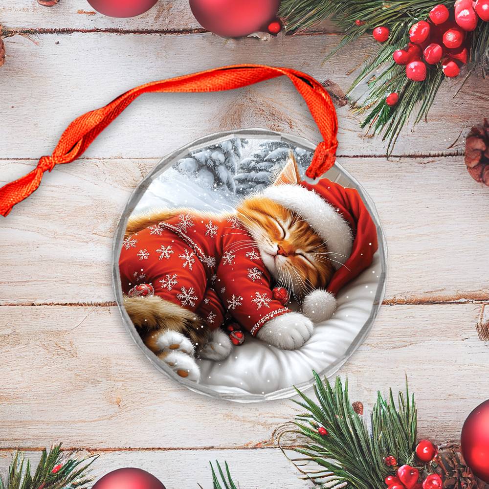 Persian cat Sleeping In Bed Design 2