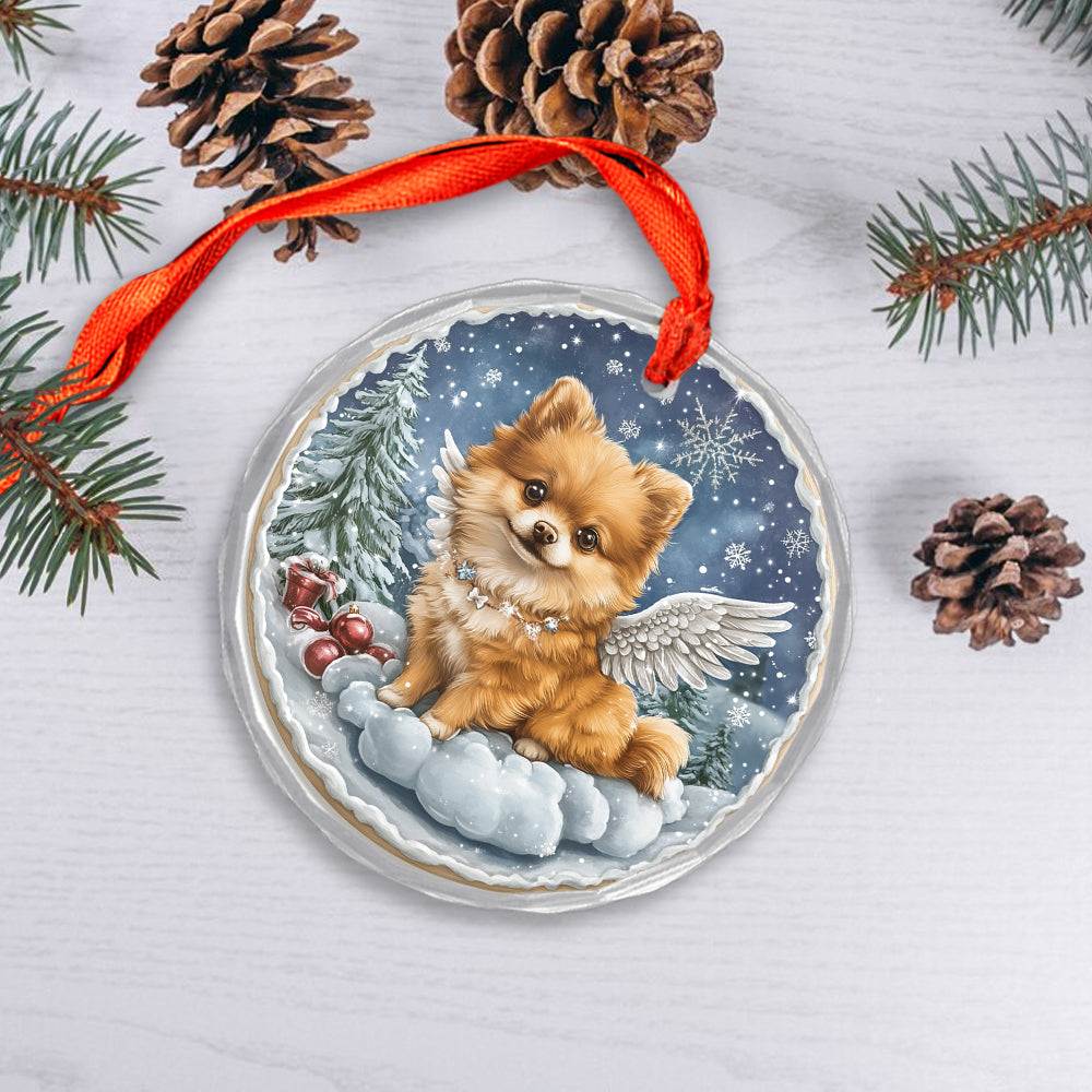 Angel Pomeranian Dog 3