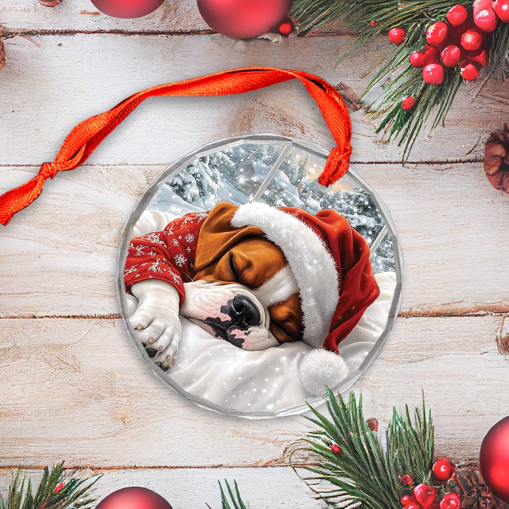 Boxer Dog Sleeping In Bed Design 4