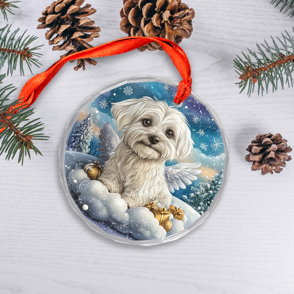 Angel Maltese Dog 2
