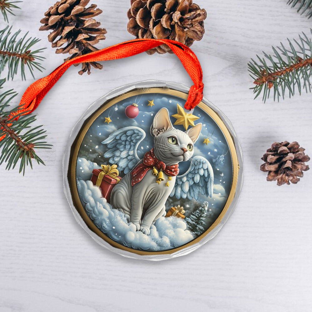 Angel Sphynx Cat 2