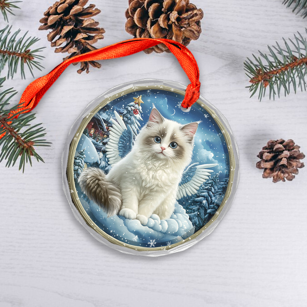 Angel Ragdoll Cat 3