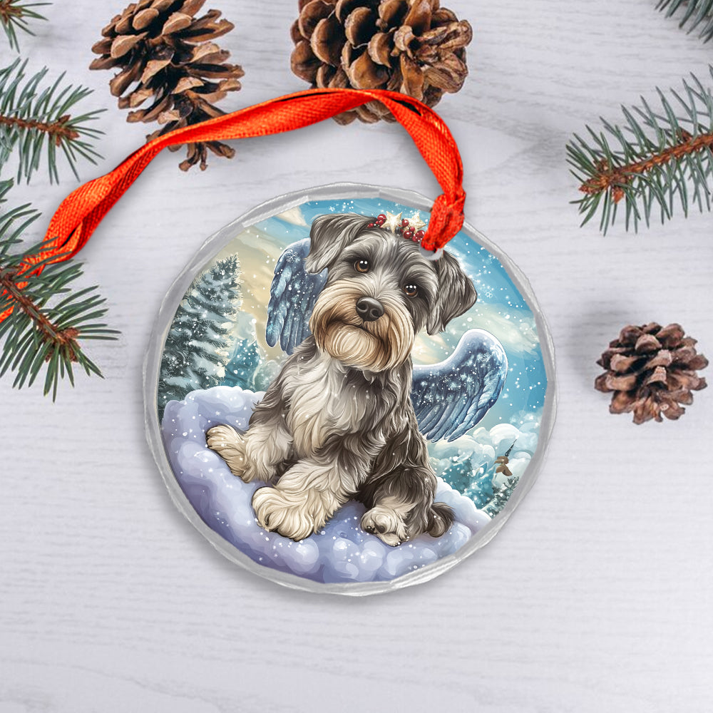 Angel Miniature Schnauzer Dog 1