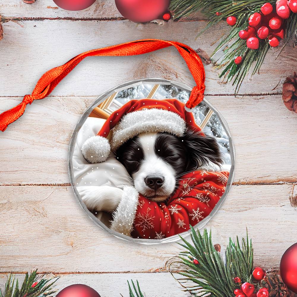 Border Collie Dog Sleeping In Bed Design 3