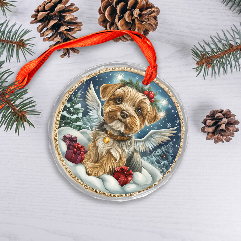 Angel Yorkshire Terrier Dog 4