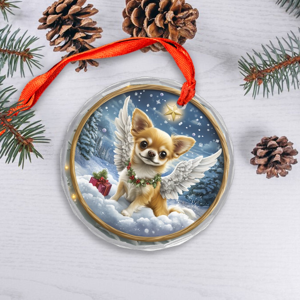 Angel Chihuahua Dog 3