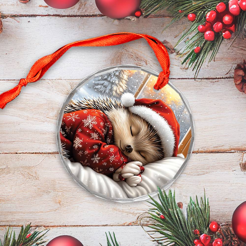 Hedgehog Sleeping In Bed Design 3