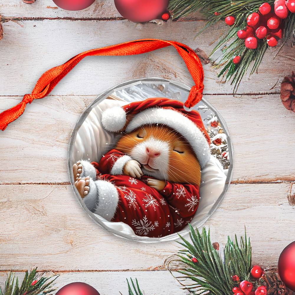 Guinea Pig Sleeping In Bed Design 4