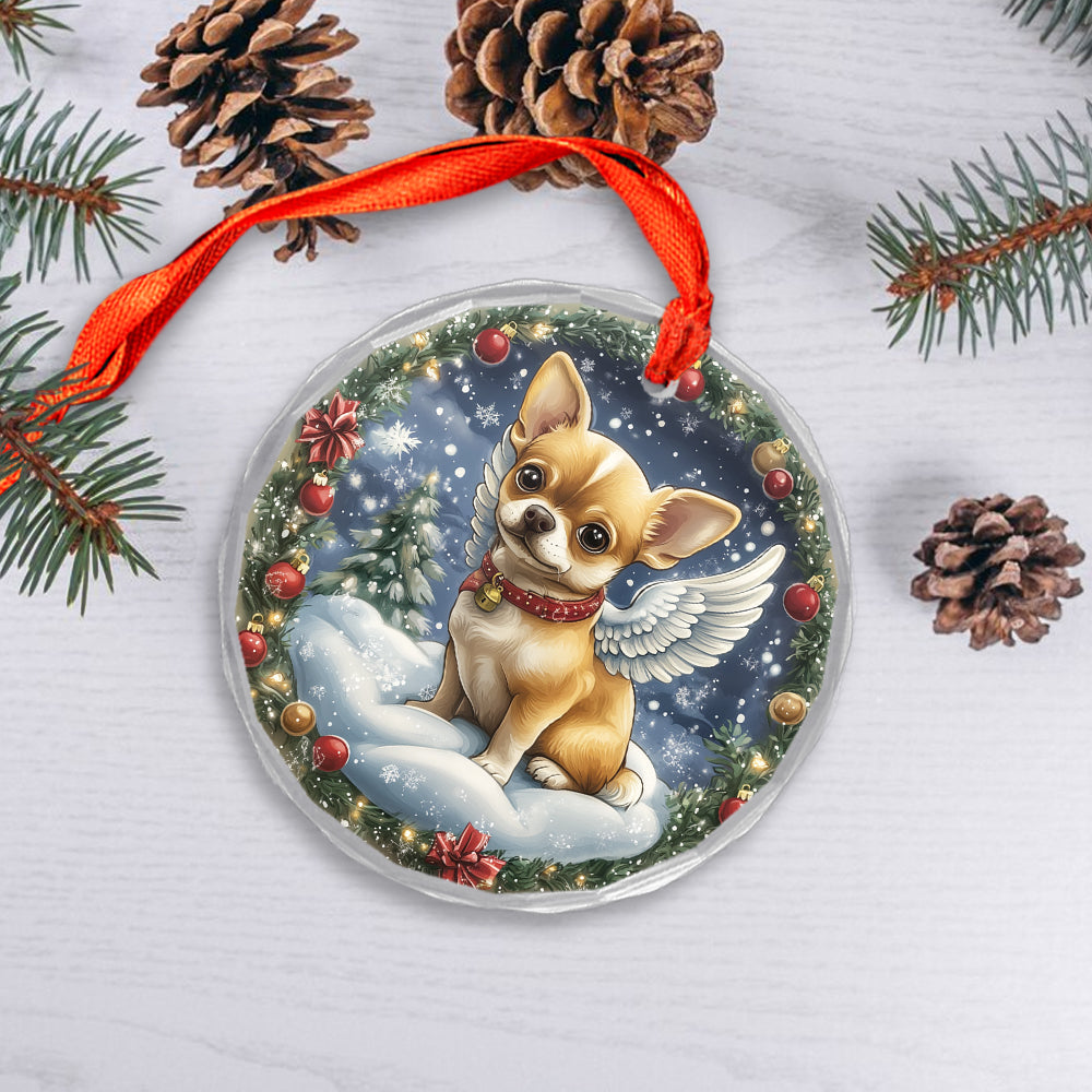 Angel Chihuahua Dog 2