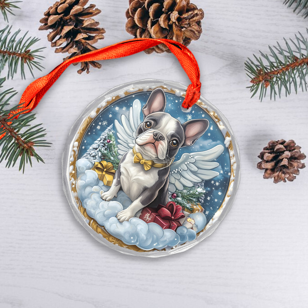 Angel Boston Terrier Dog 4