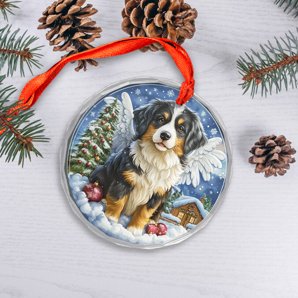 Angel Australian Shepherd Dog 4