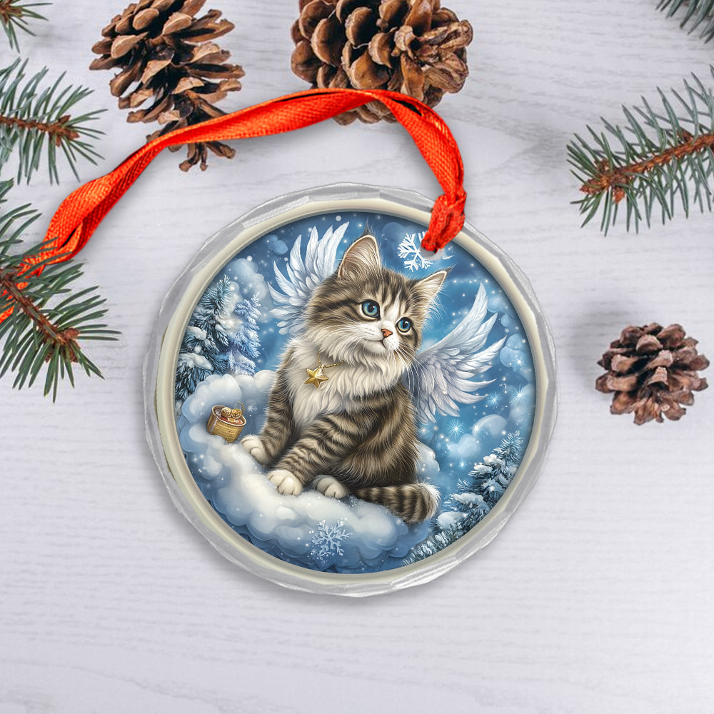 Angel Norwegian Forest Cat 1