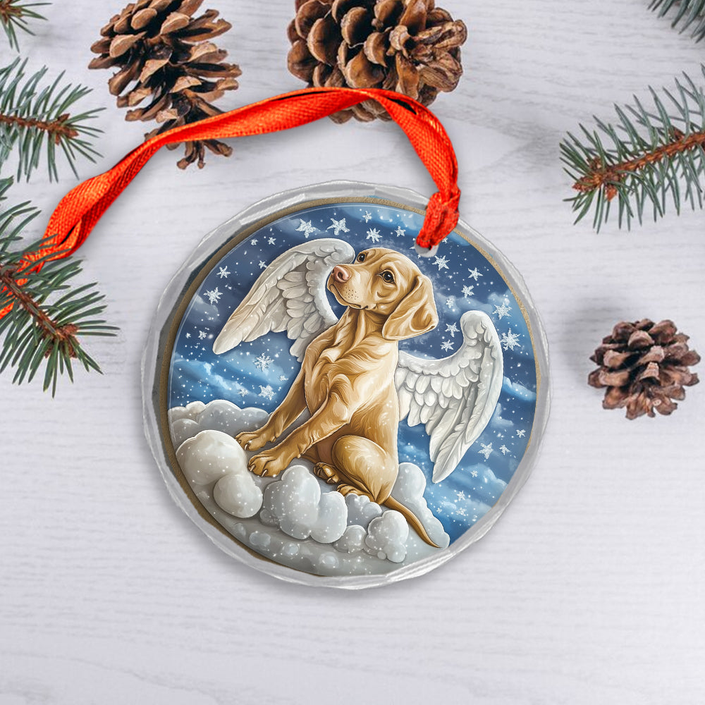 Angel Vizsla Dog 4