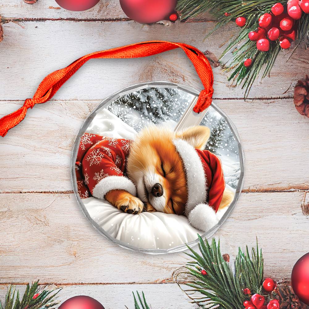 Pomeranian Dog Sleeping In Bed Design 2