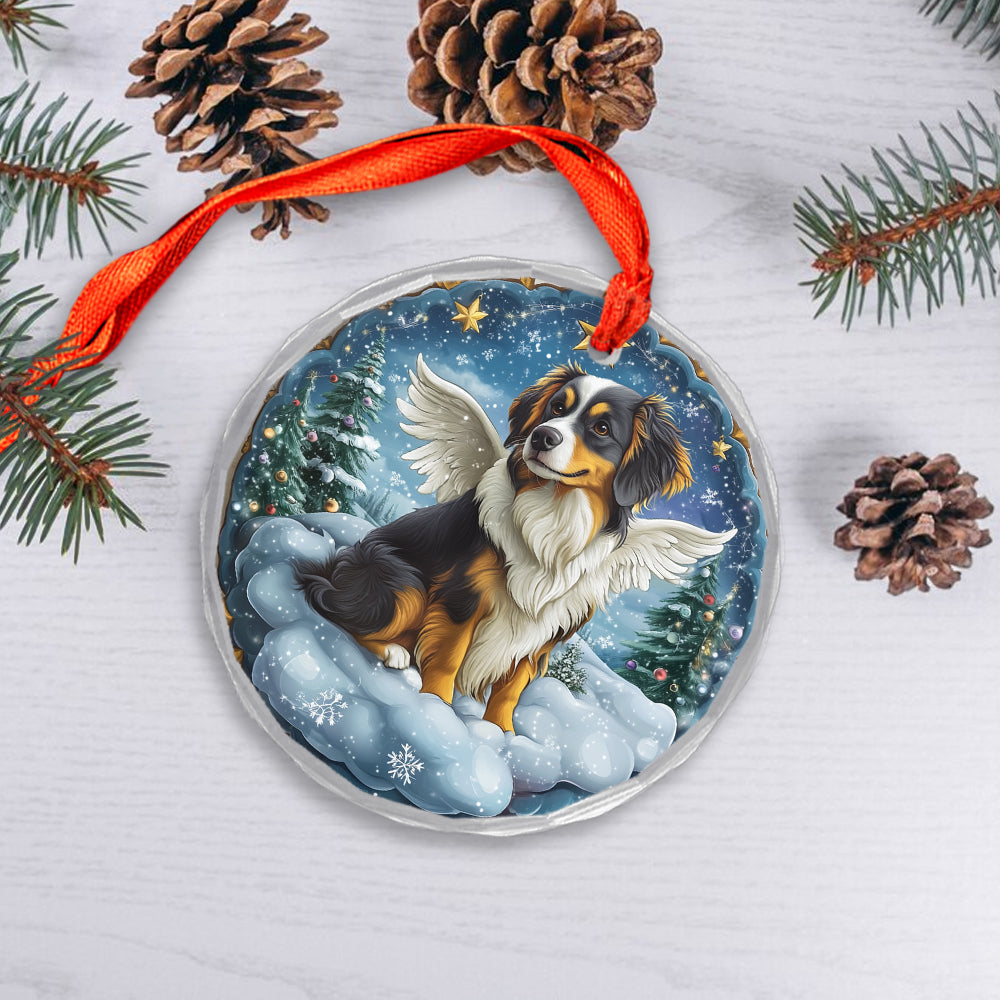 Angel Australian Shepherd Dog 1