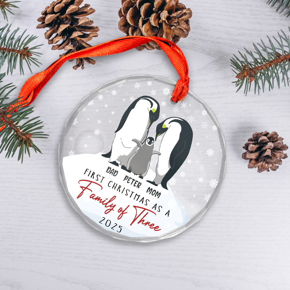 Custom Couple First Christmas