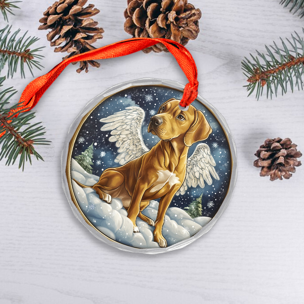 Angel Rhodesian Ridgeback Dog 2