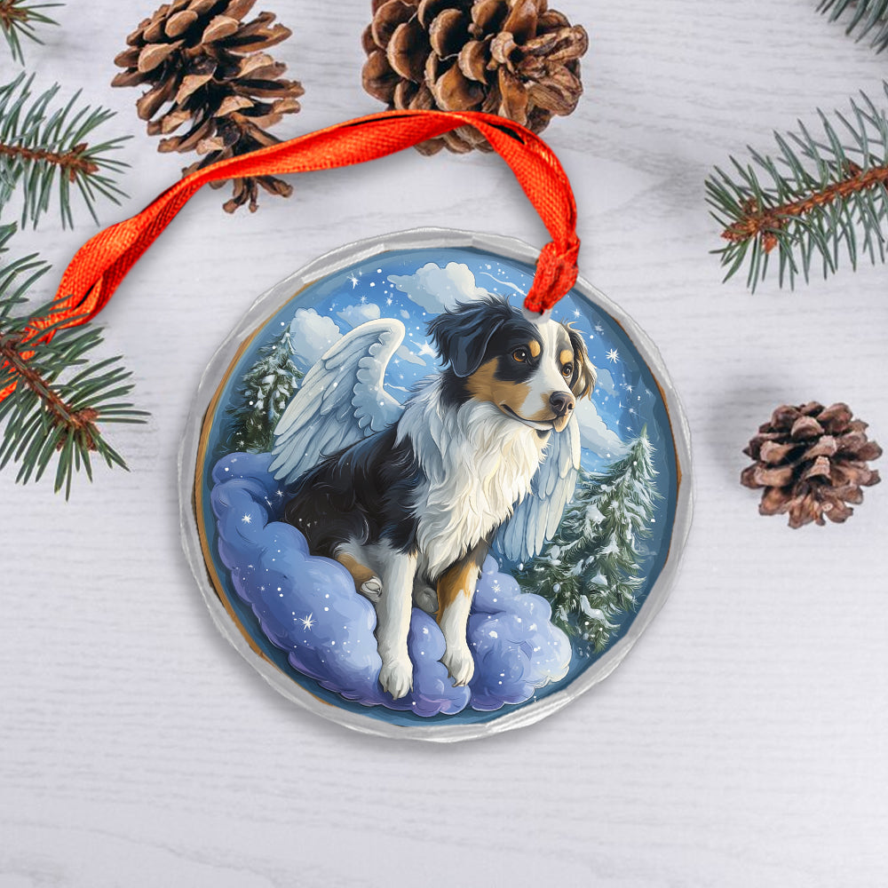 Angel Border Collie Dog 2