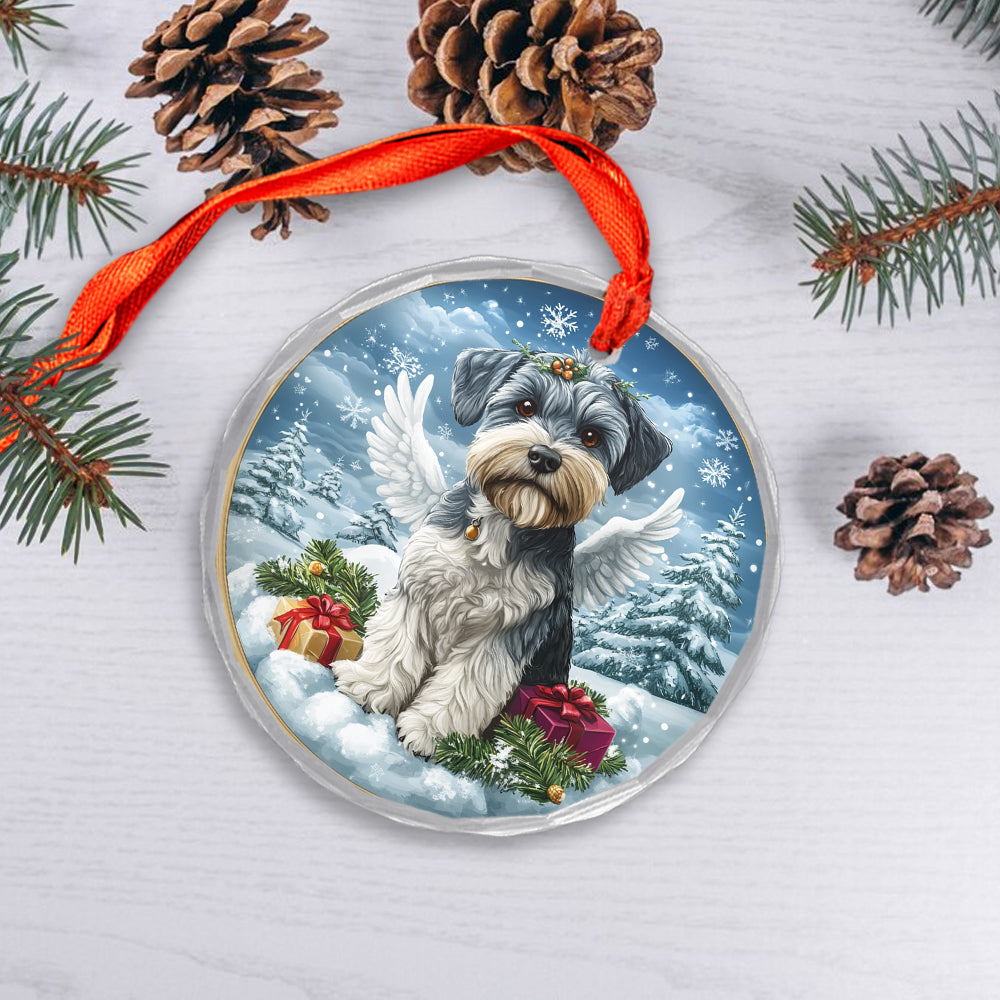 Angel Miniature Schnauzer Dog 4